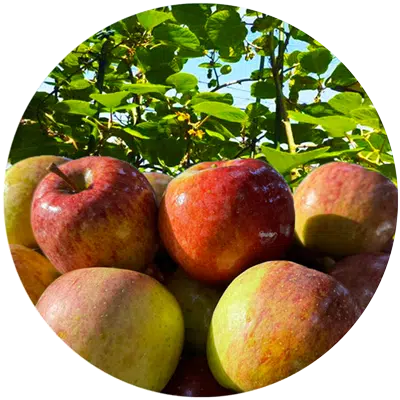 共榮共生，農民驕傲